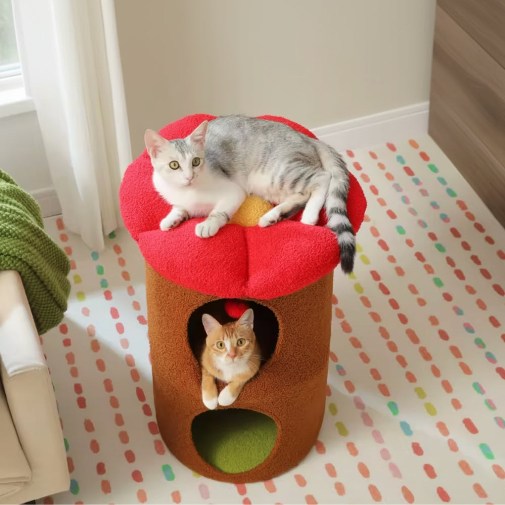 Arbre À Chat - Rouxy