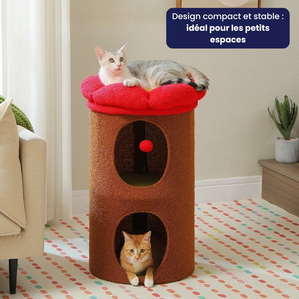 Arbre À Chat - Rouxy