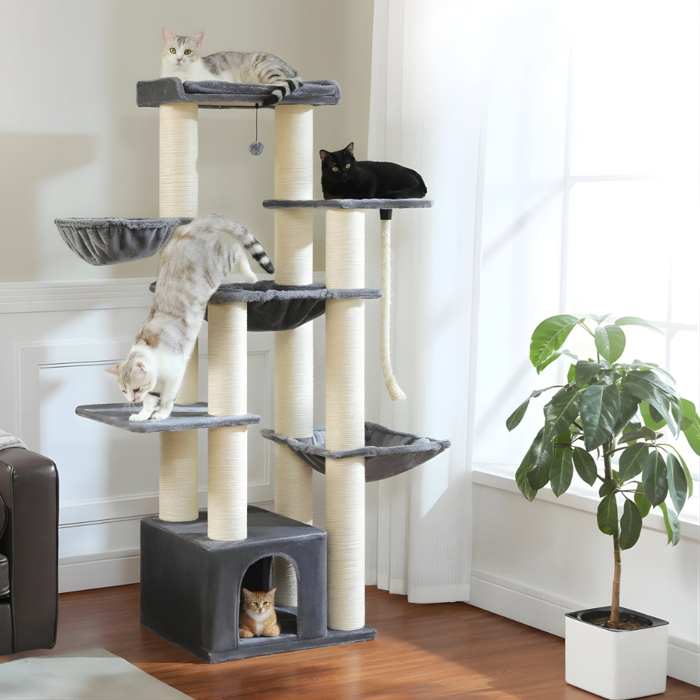 Arbre À Chat - Ulysse