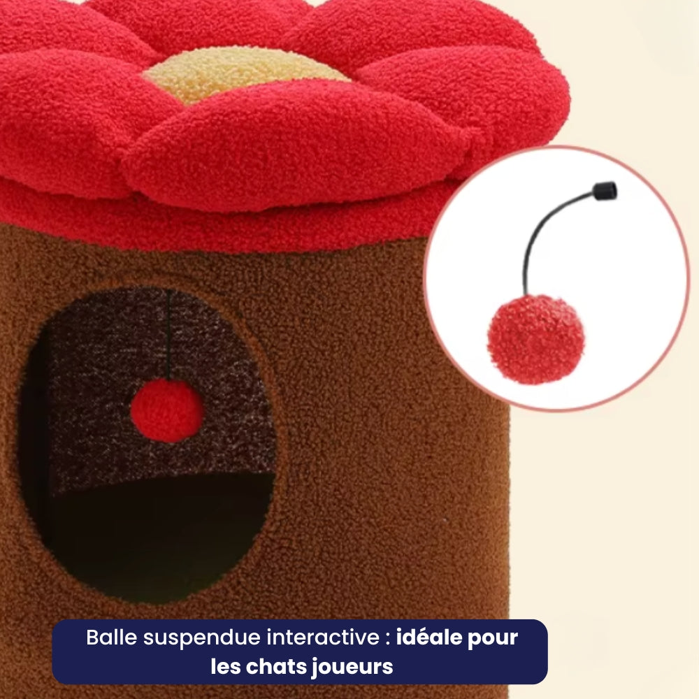 Arbre À Chat - Rouxy