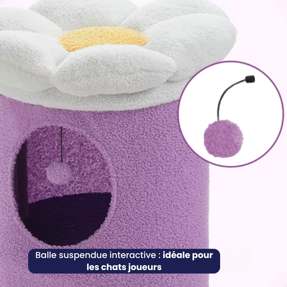 Arbre À Chat - Rouxy