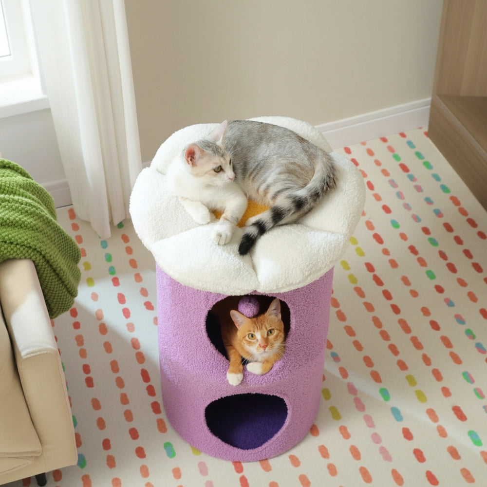 Arbre À Chat - Rouxy