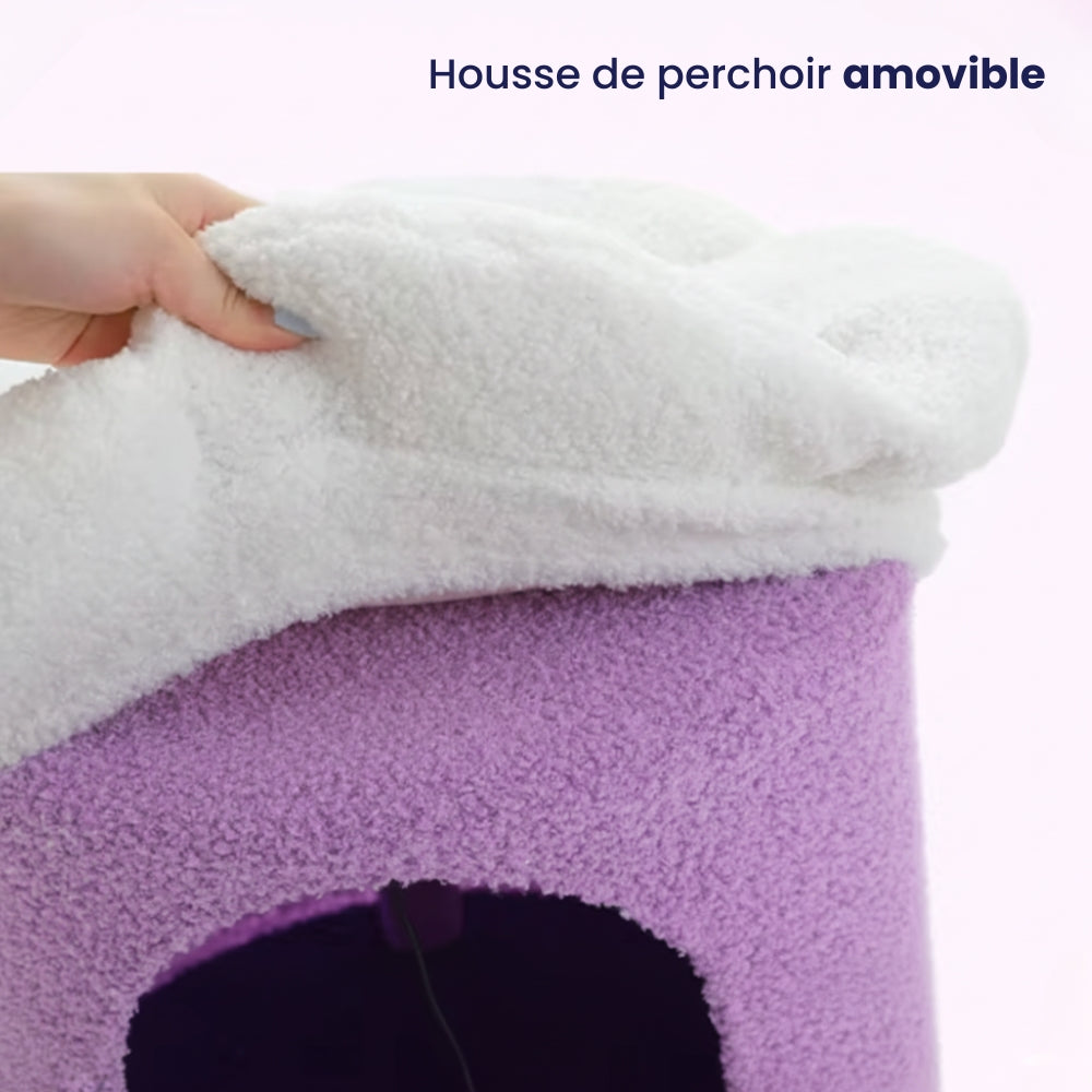 Arbre À Chat - Rouxy