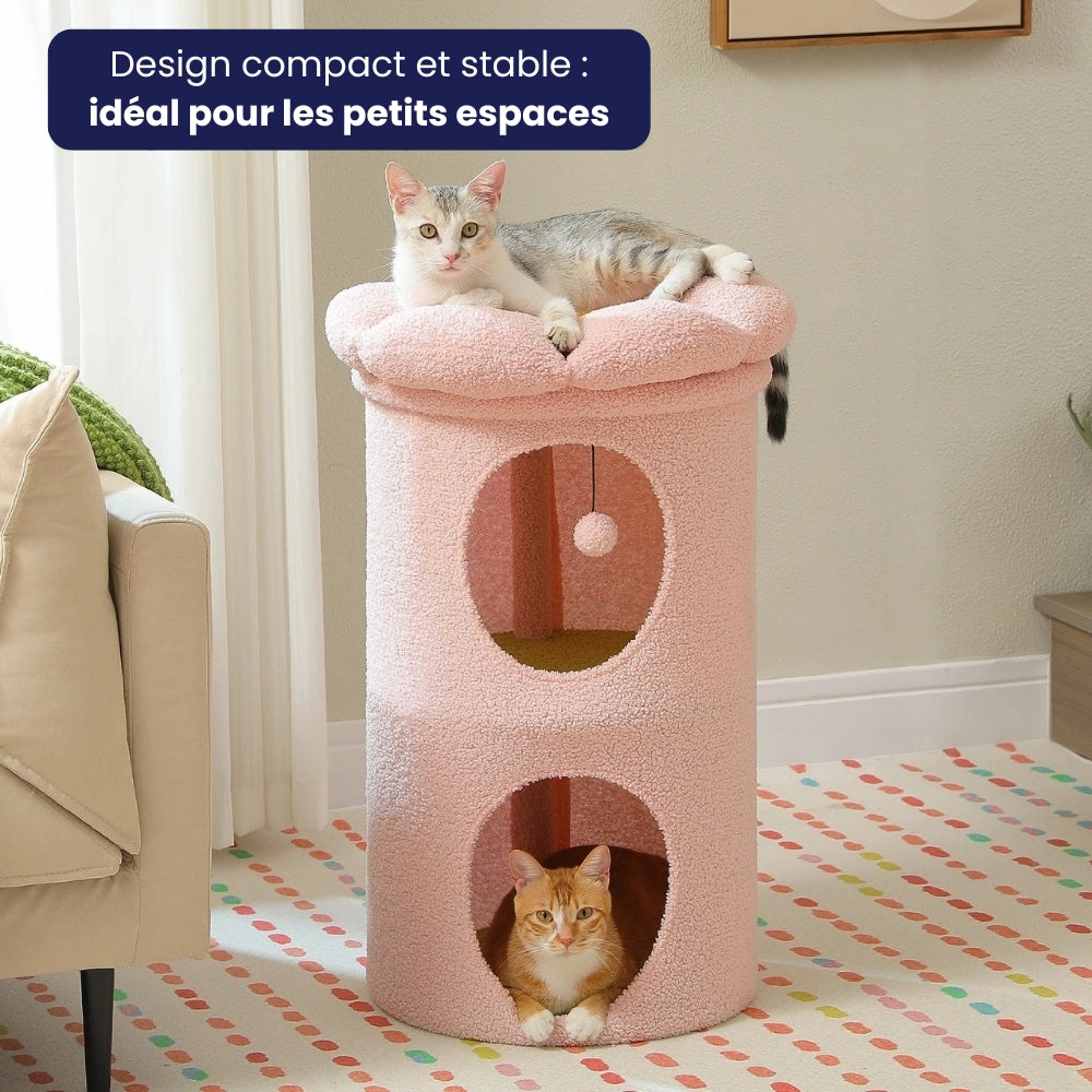 Arbre À Chat - Rouxy