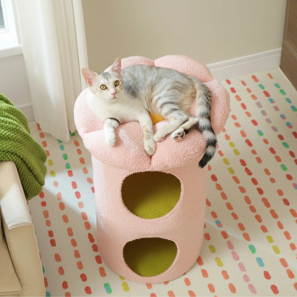 Arbre À Chat - Rouxy