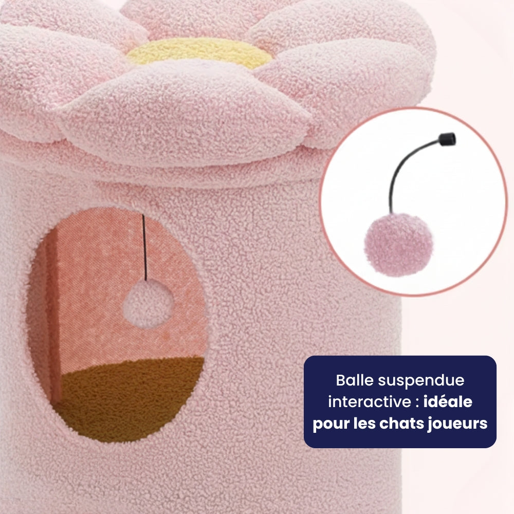 Arbre À Chat - Rouxy