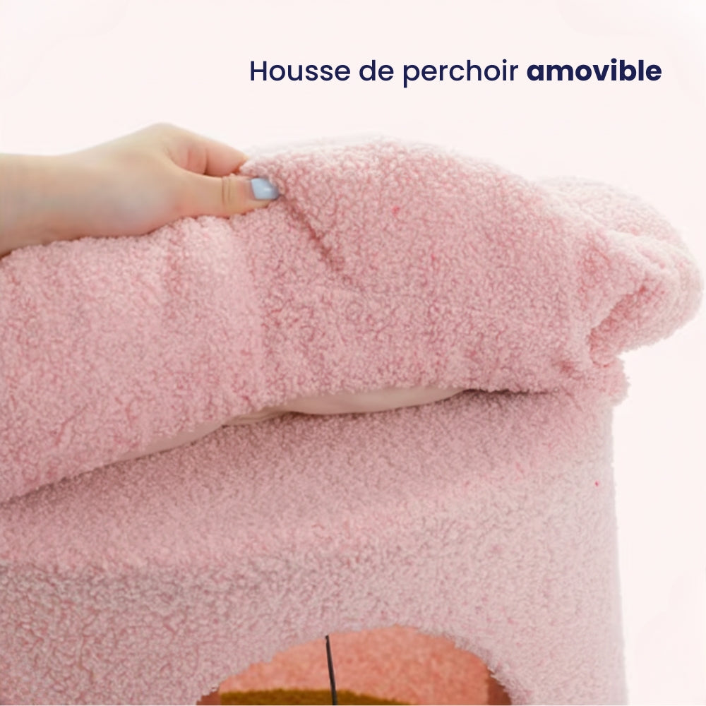 Arbre À Chat - Rouxy