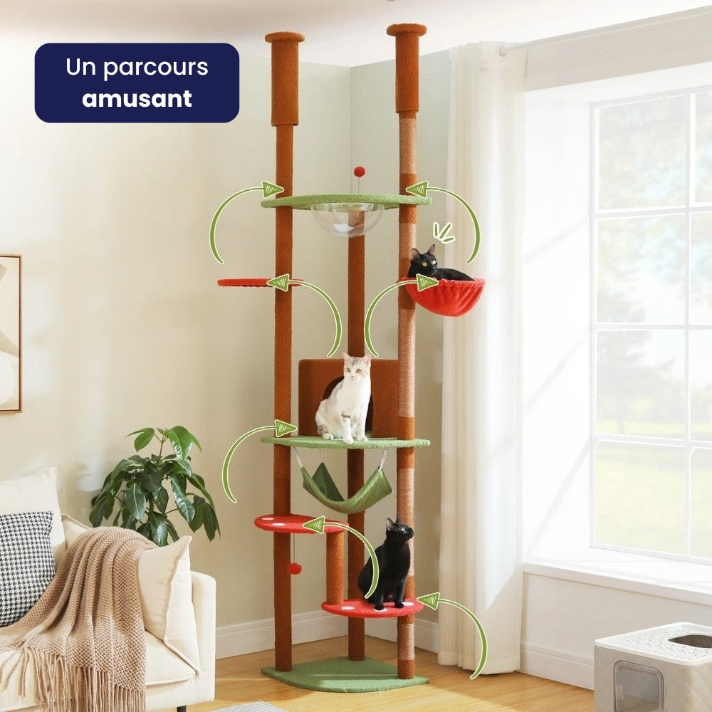 Arbre À Chat - Choco