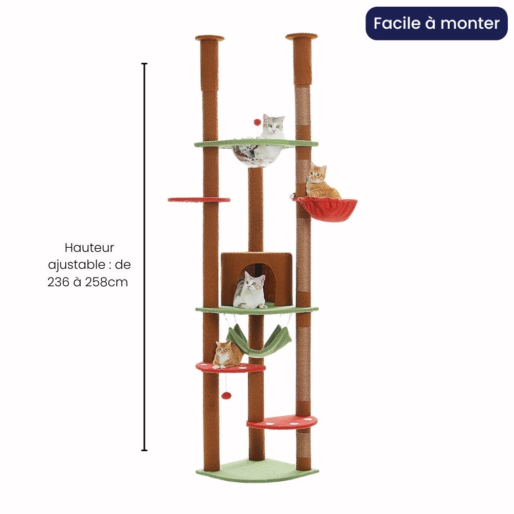 Arbre À Chat - Choco