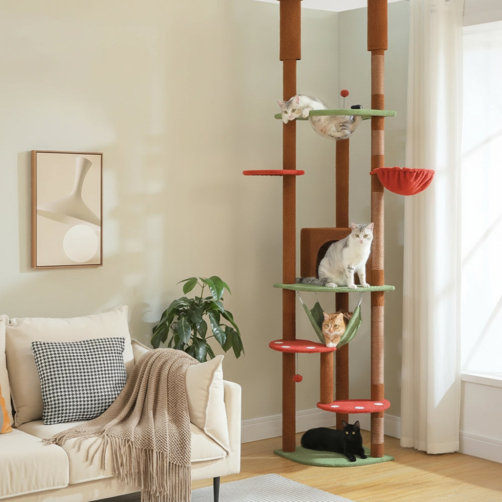 Arbre À Chat - Choco