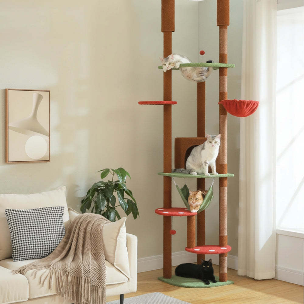 Arbre À Chat - Choco