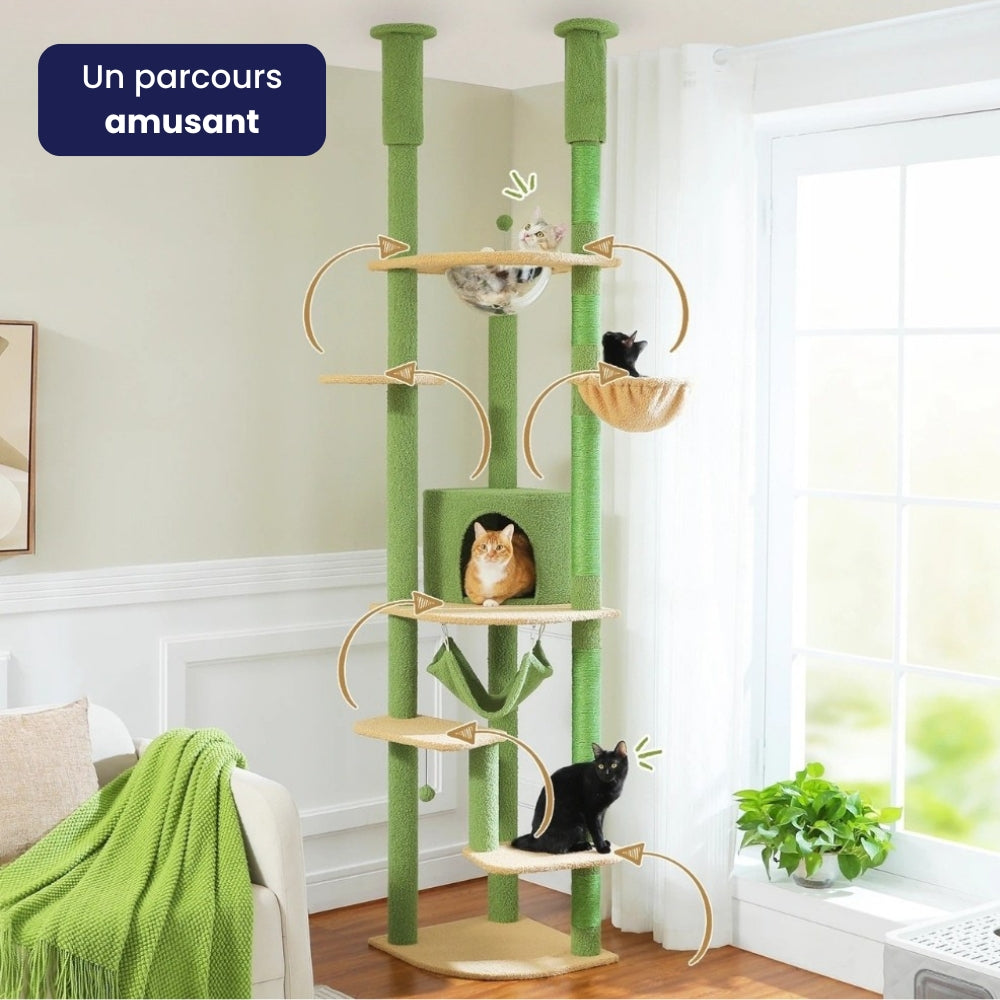 Arbre À Chat - Choco