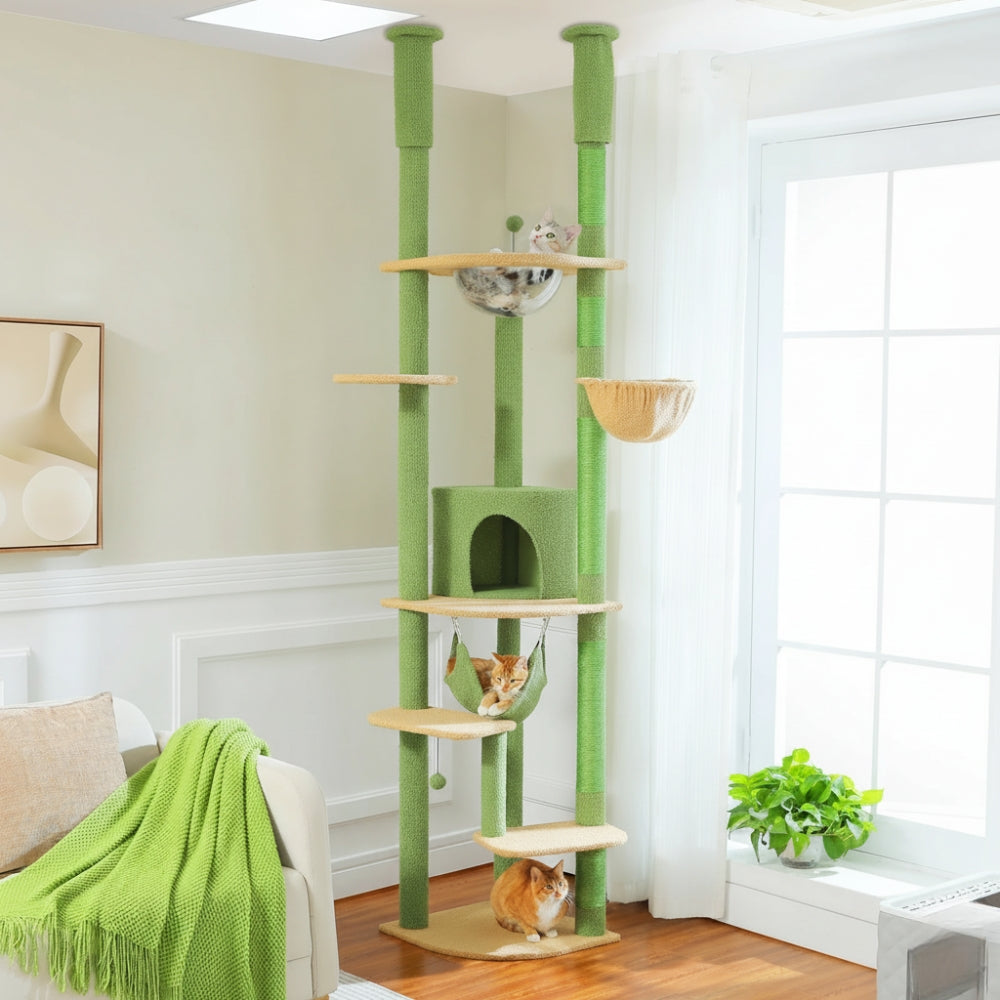 Arbre À Chat - Choco