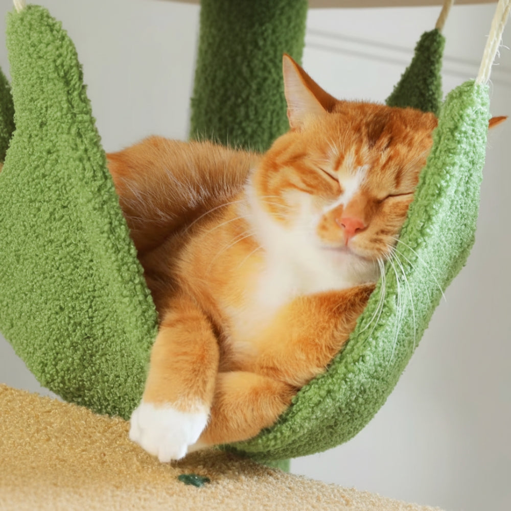 Arbre À Chat - Choco