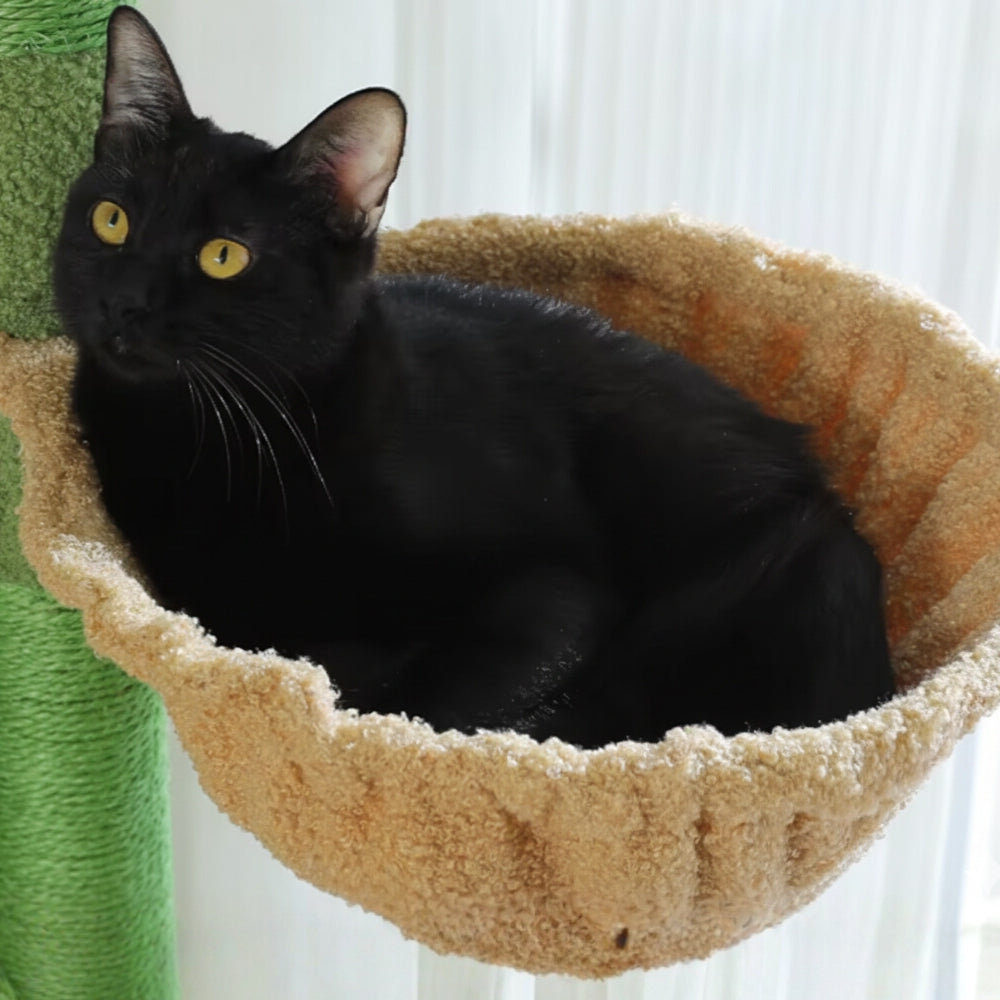 Arbre À Chat - Choco