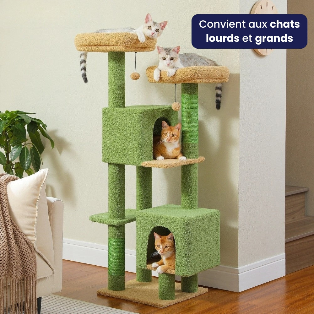 Arbre À Chat - Nala