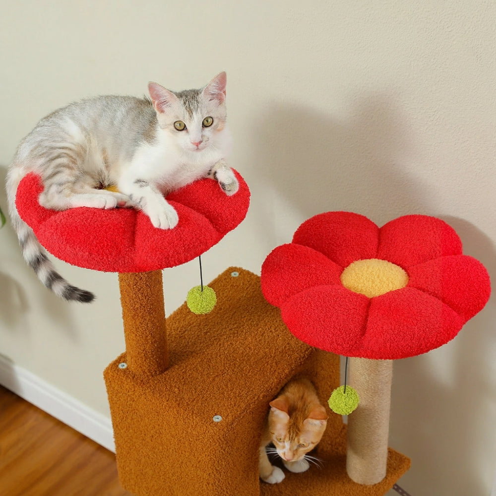 Arbre À Chat - Nala