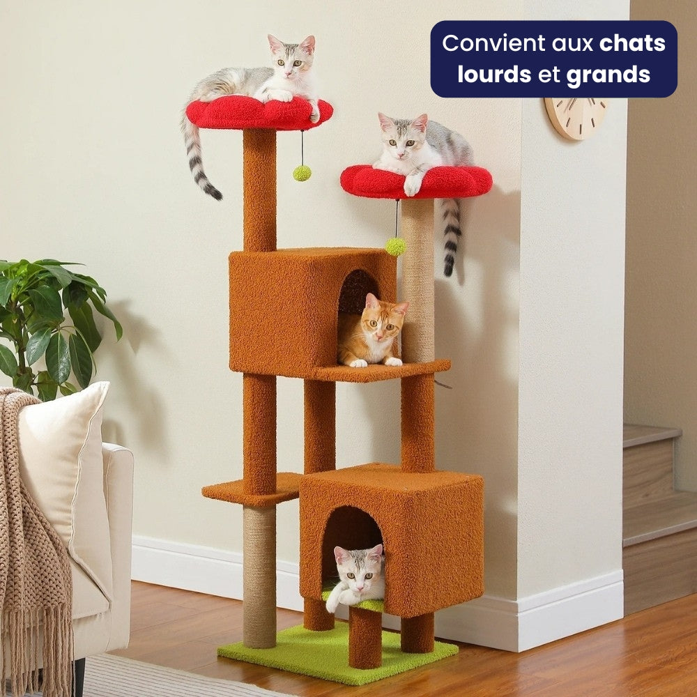 Arbre À Chat - Nala