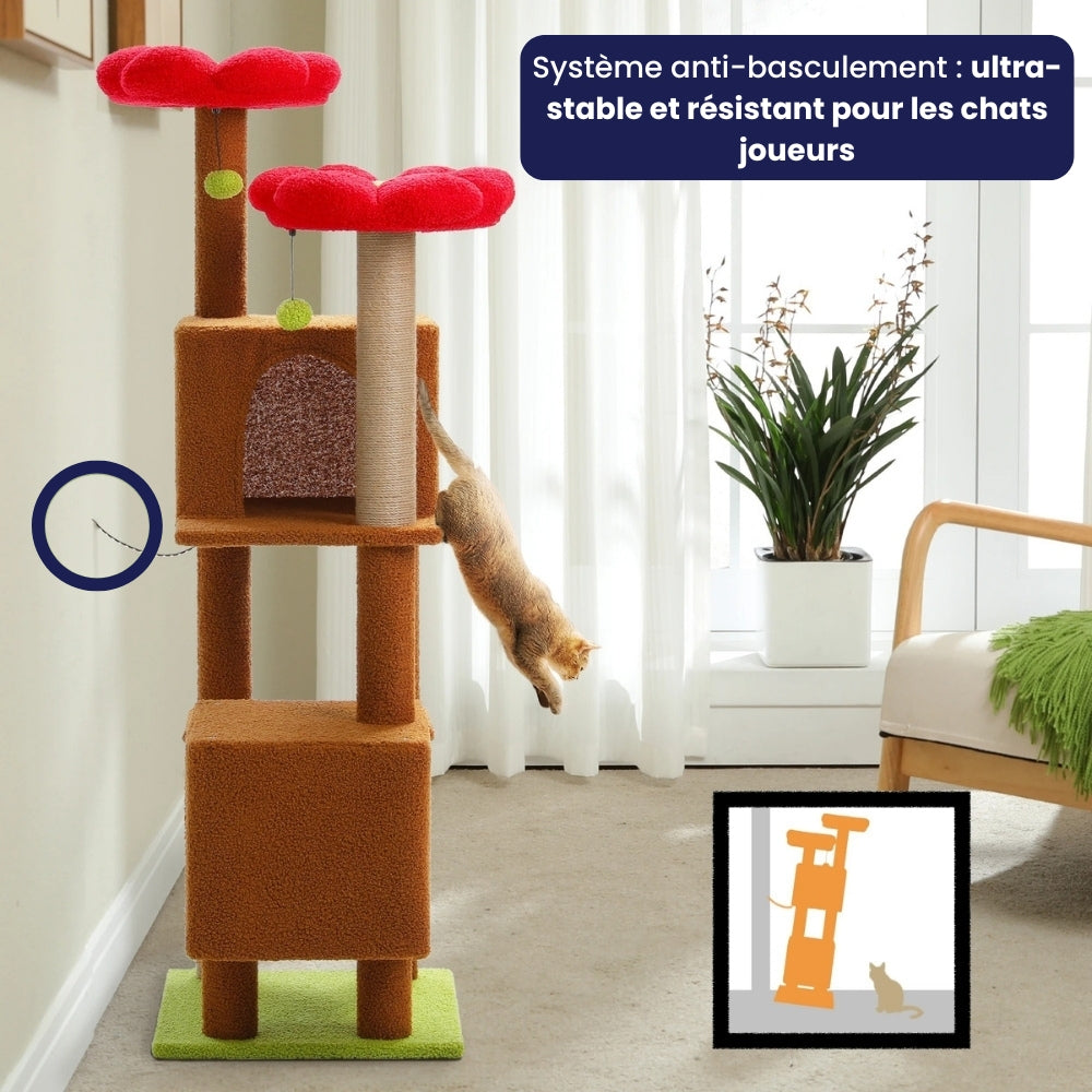 Arbre À Chat - Nala