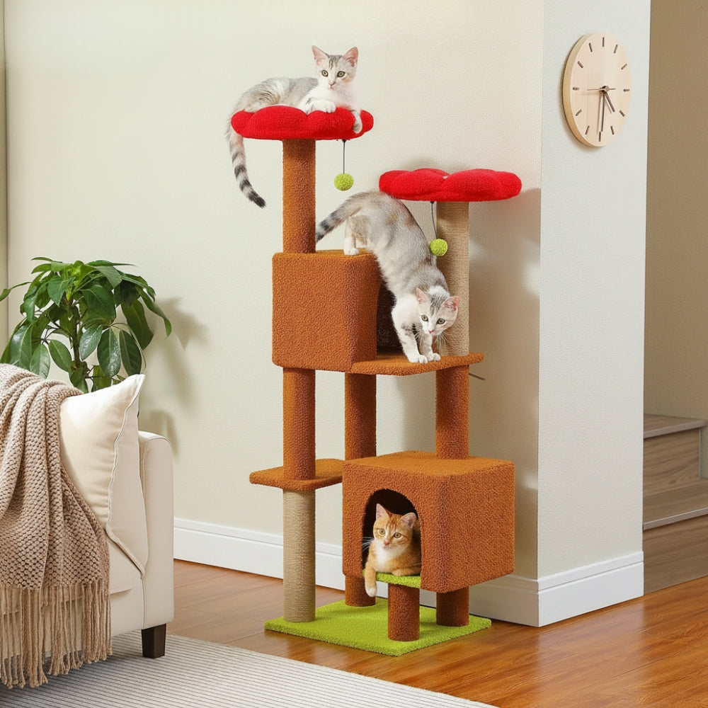 Arbre À Chat - Nala