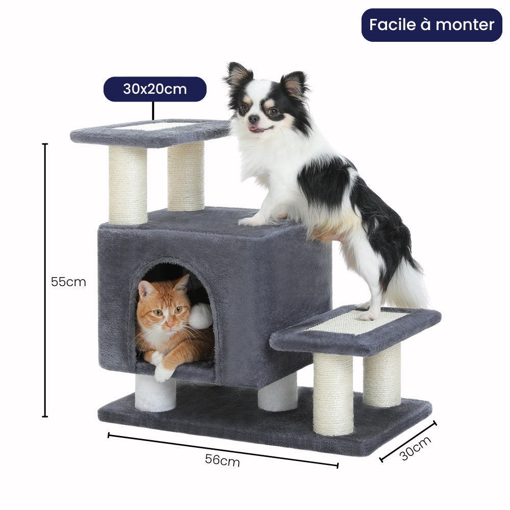 Arbre À Chat - Soleil