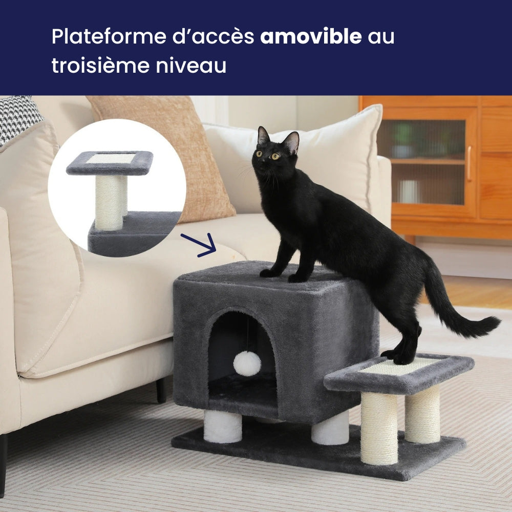 Arbre À Chat - Soleil