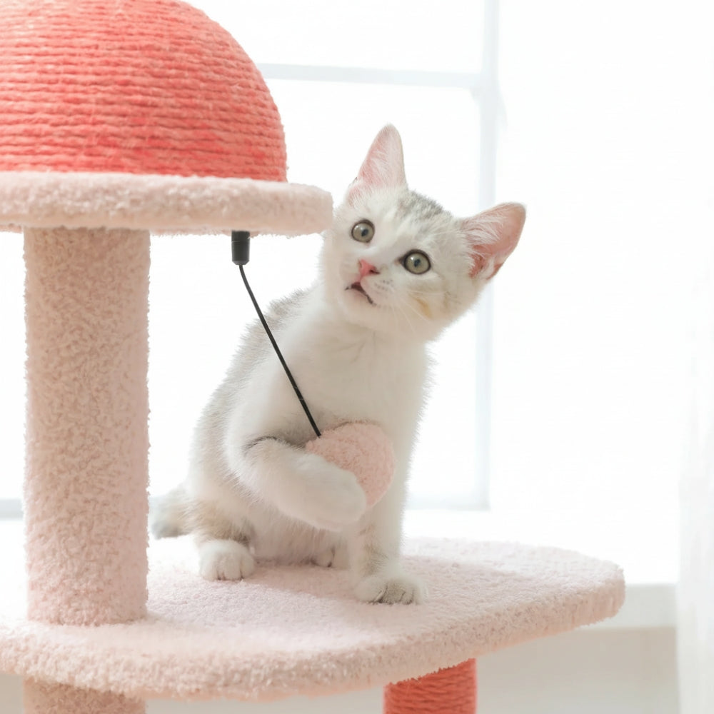 Arbre À Chat - Rosa