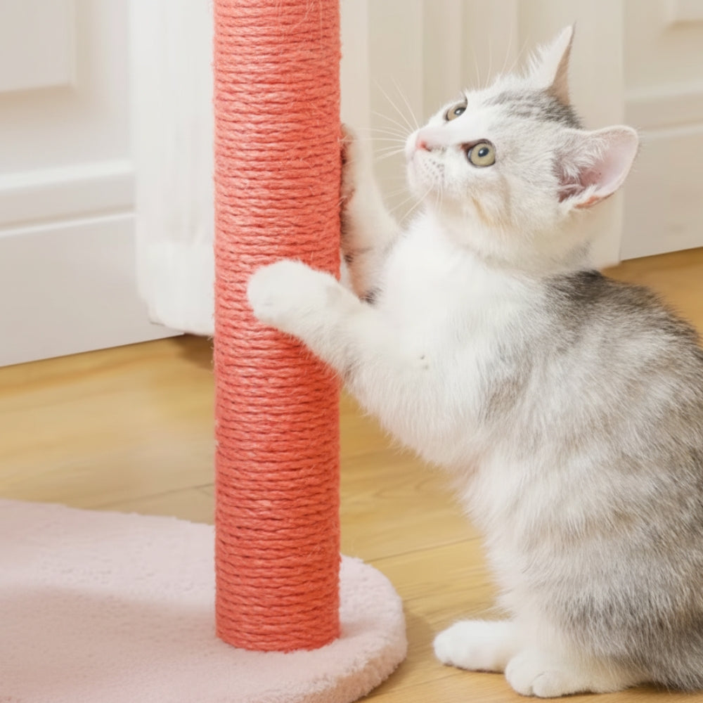 Arbre À Chat - Rosa