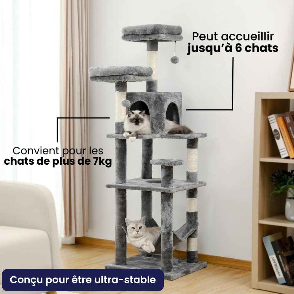 Arbre À Chat - Filou