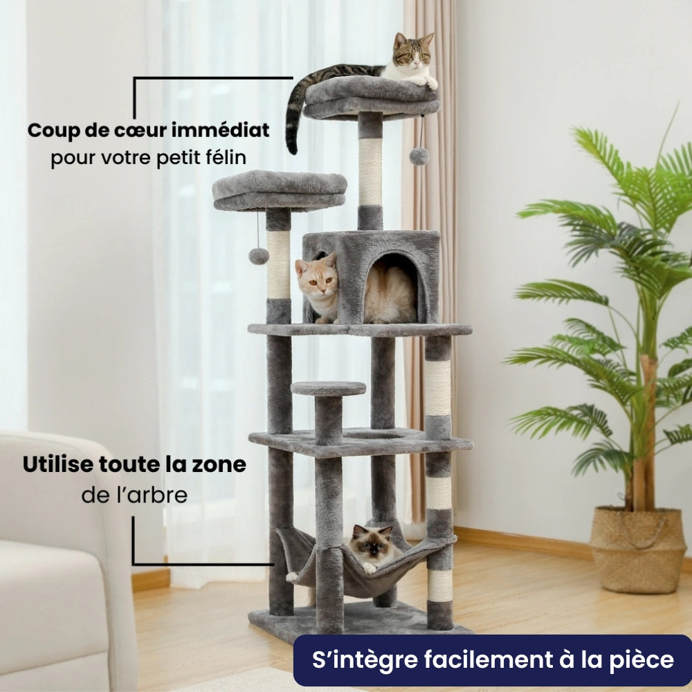 Arbre À Chat - Filou