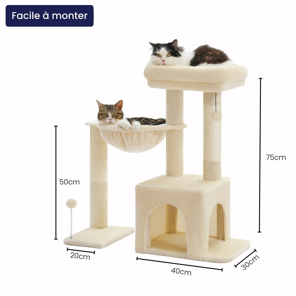 Arbre À Chat - Cookie