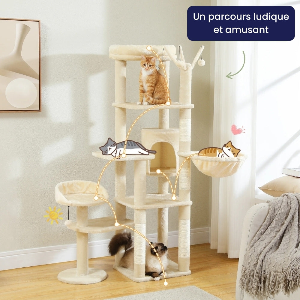 Arbre À Chat - Zouzou