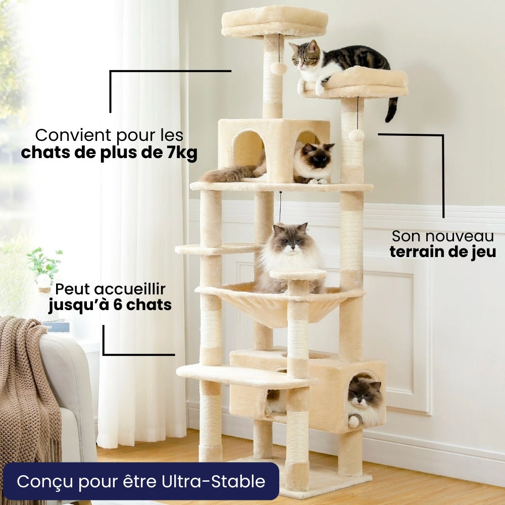 Arbre À Chat - Léo