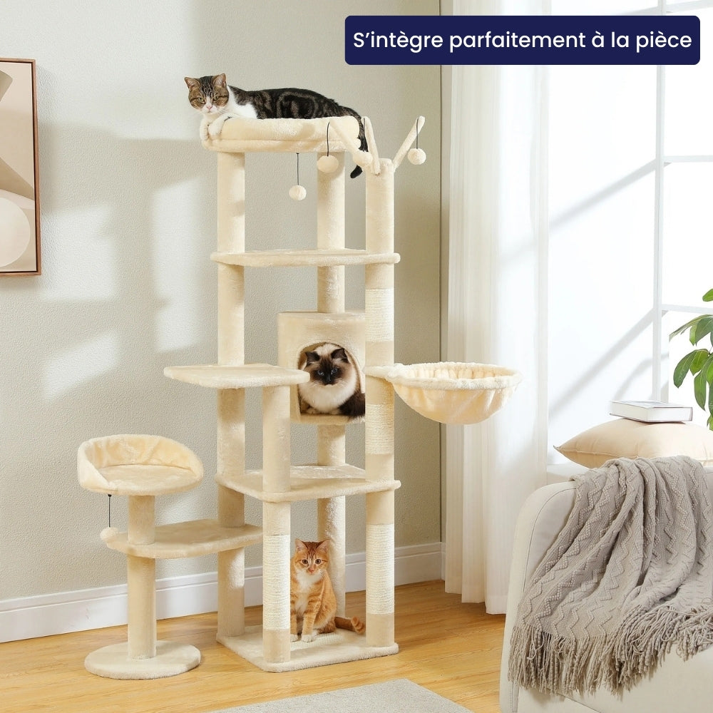 Arbre À Chat - Zouzou