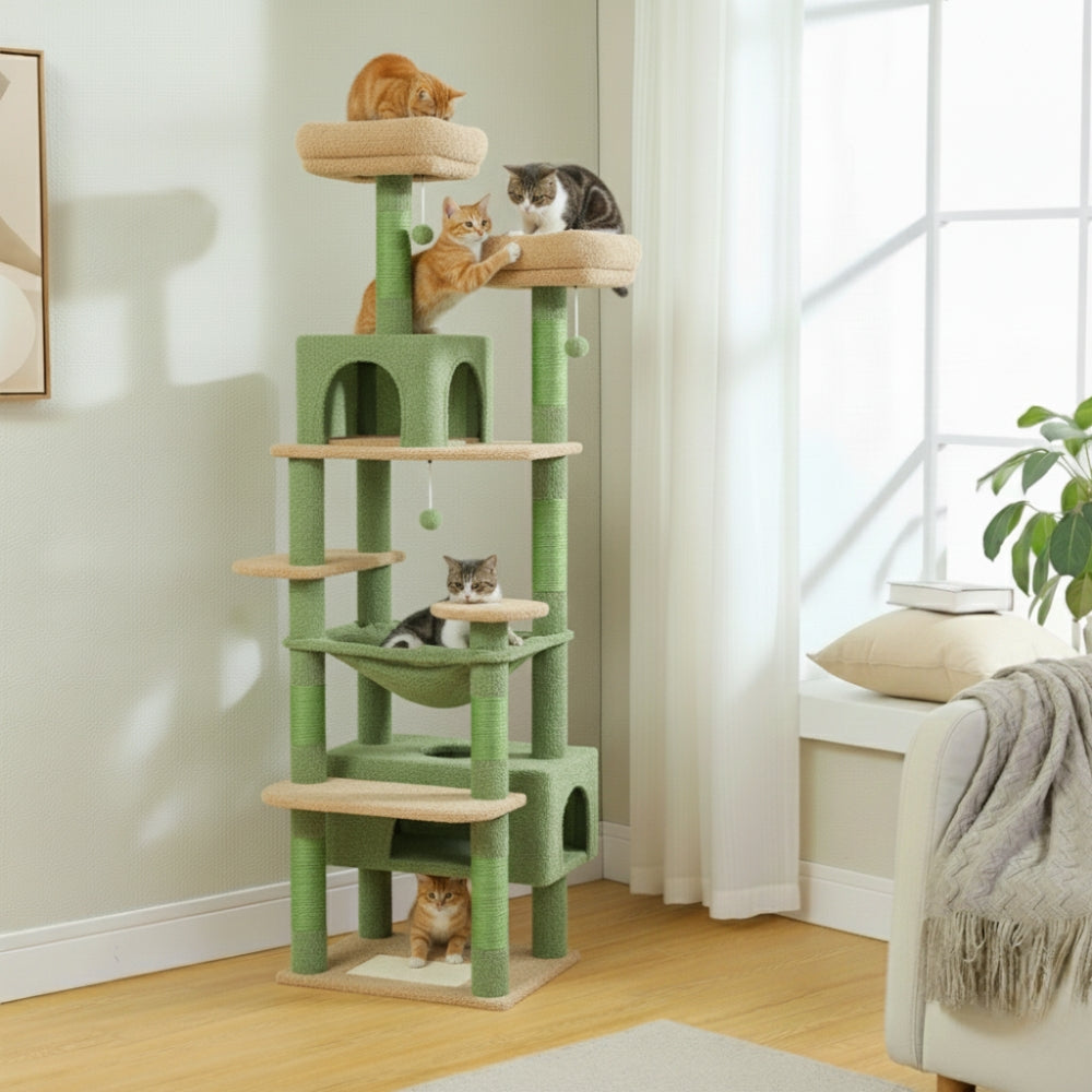 Arbre À Chat - Miou