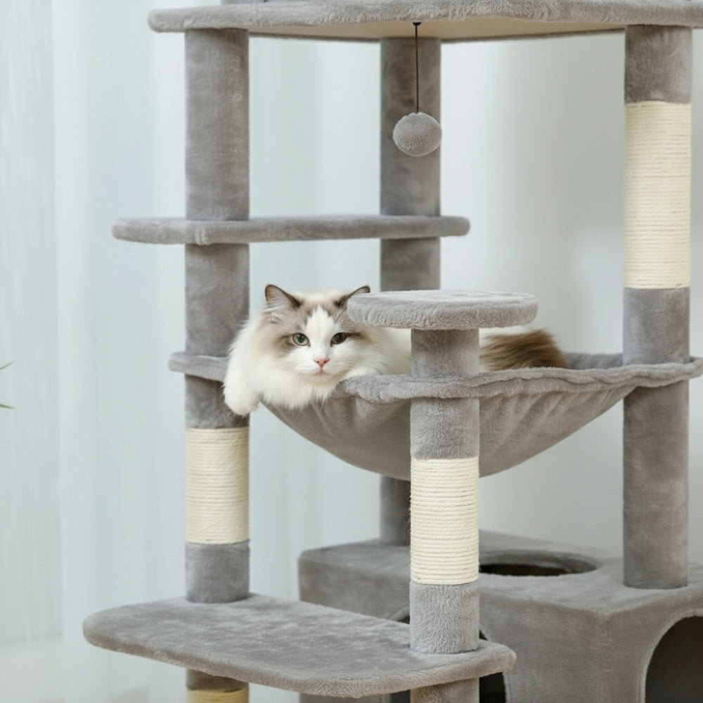 Arbre À Chat - Luna