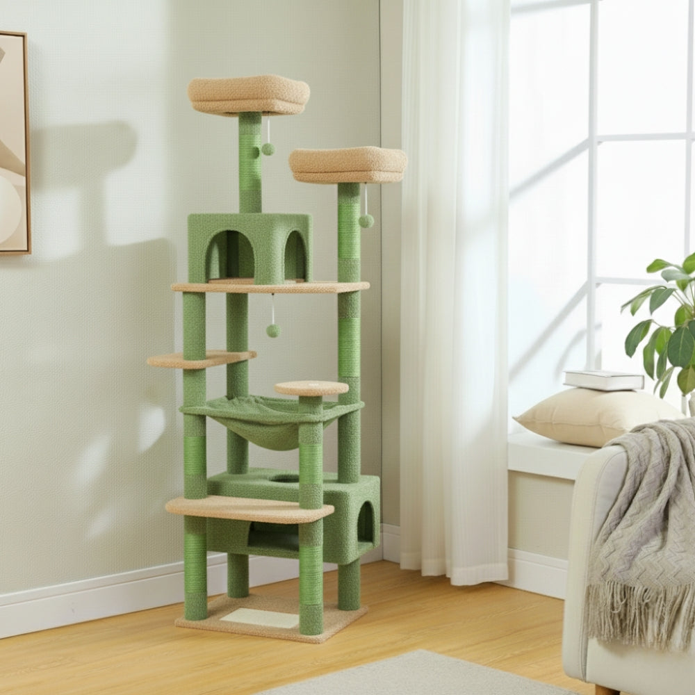 Arbre À Chat - Miou