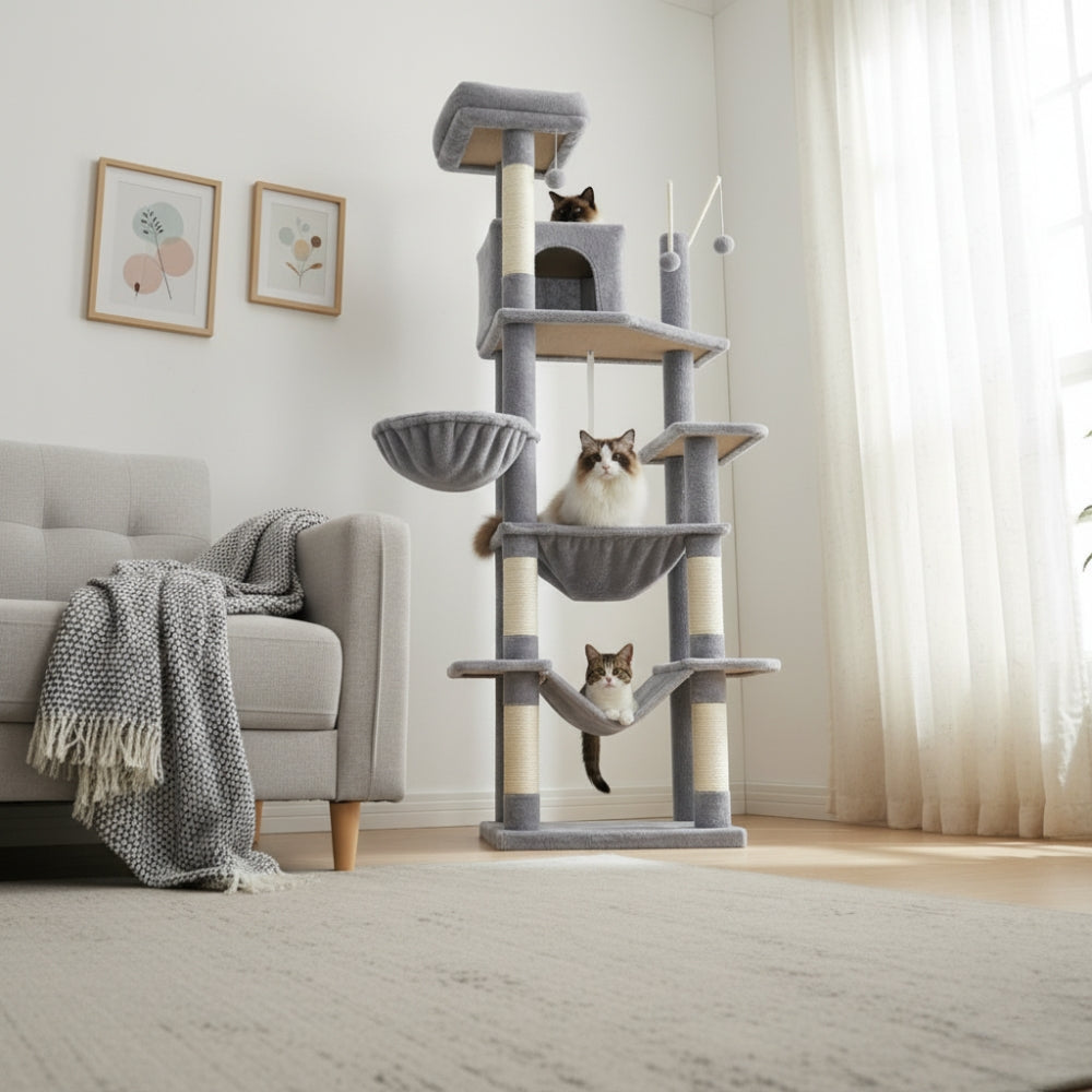 Arbre À Chat - Azur