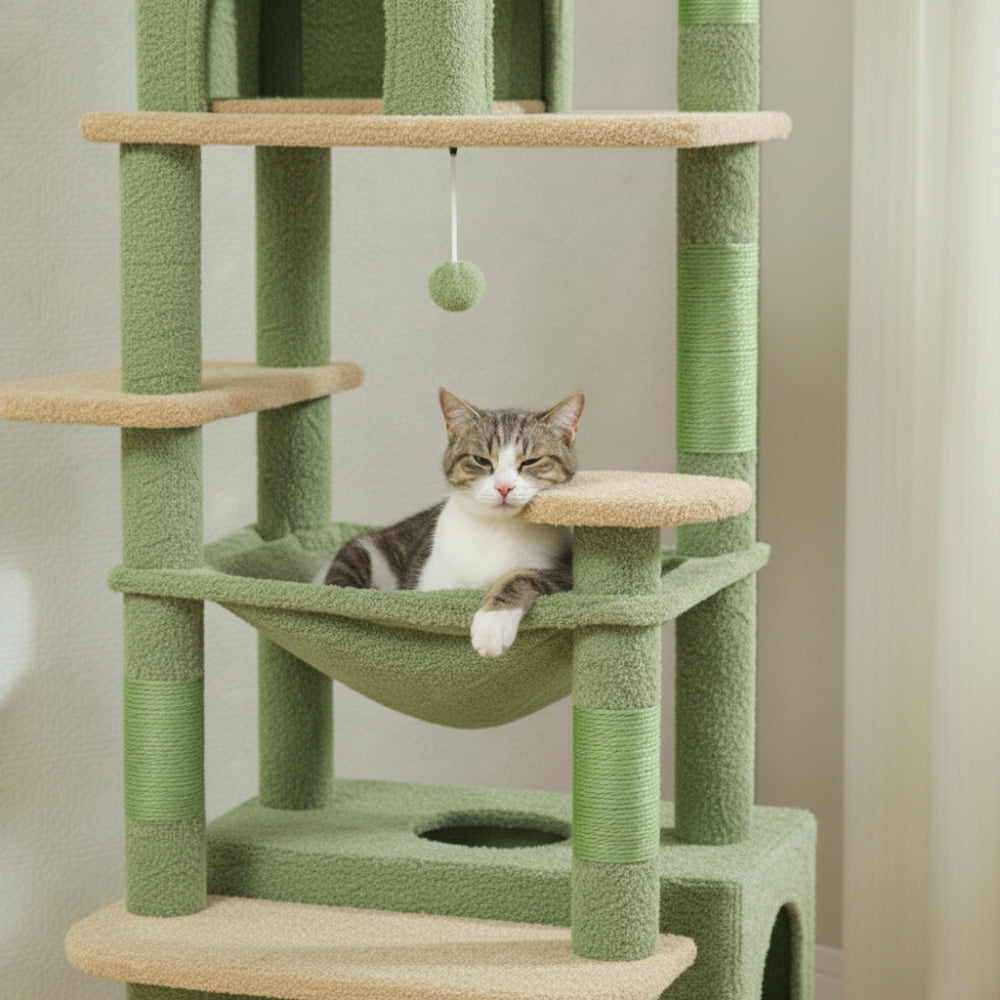 Arbre À Chat - Miou