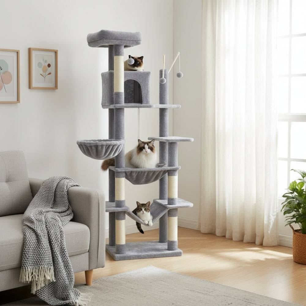 Arbre À Chat - Azur