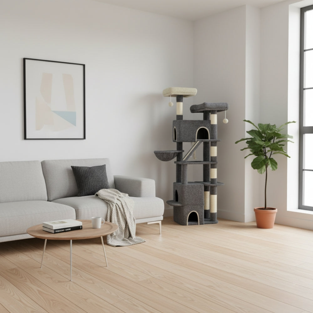 Arbre À Chat - Uranus