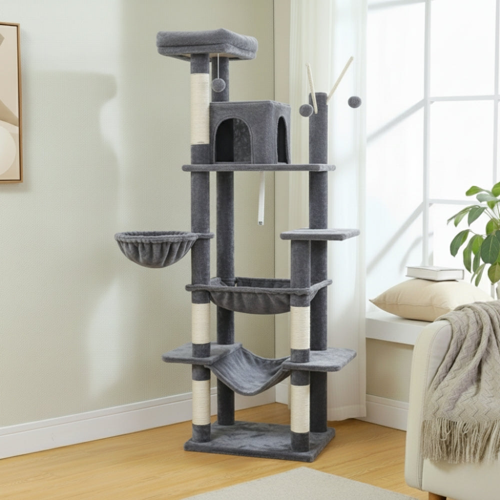 Arbre À Chat - Milou