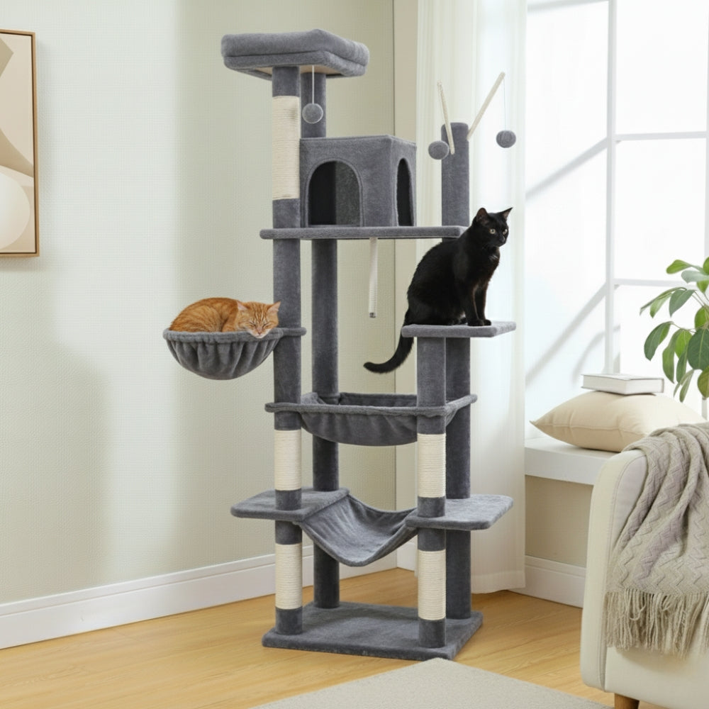 Arbre À Chat - Milou