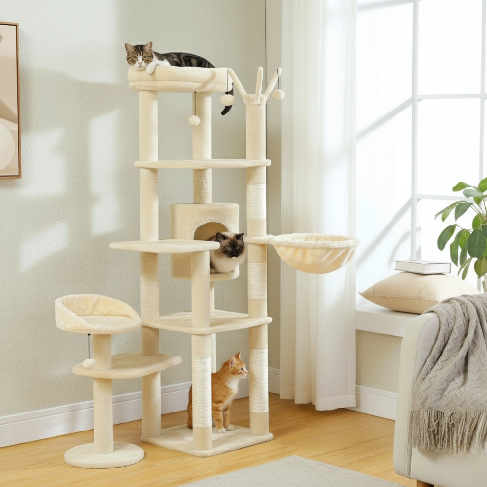 Arbre À Chat - Ariel