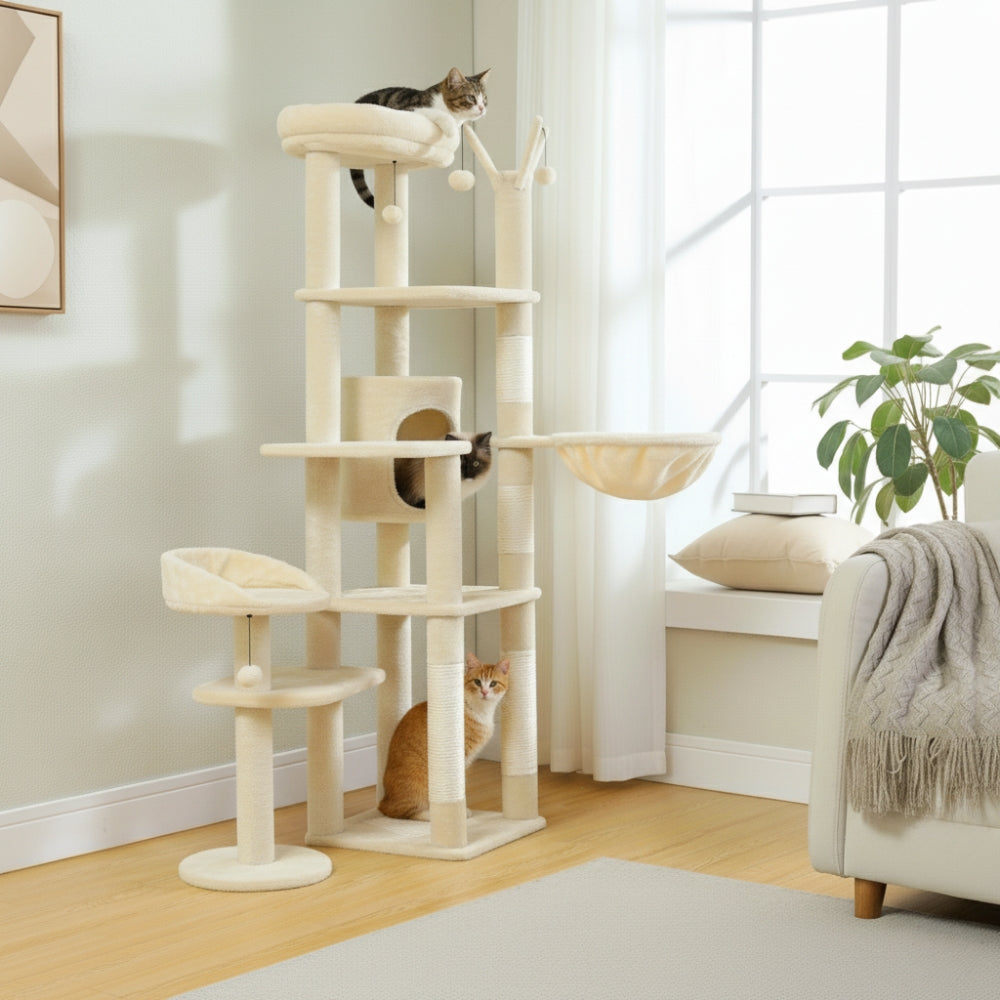 Arbre À Chat - Ariel