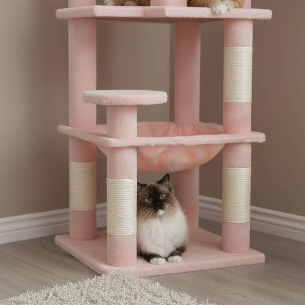 Arbre À Chat - Yumi