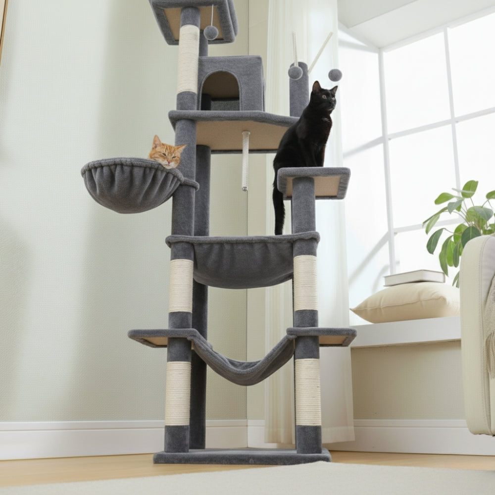 Arbre À Chat - Milou