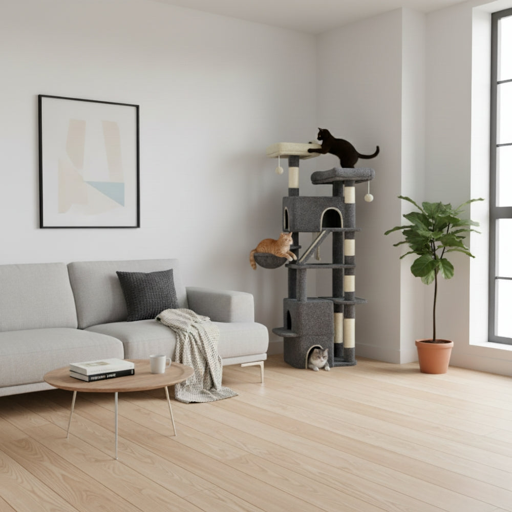 Arbre À Chat - Uranus