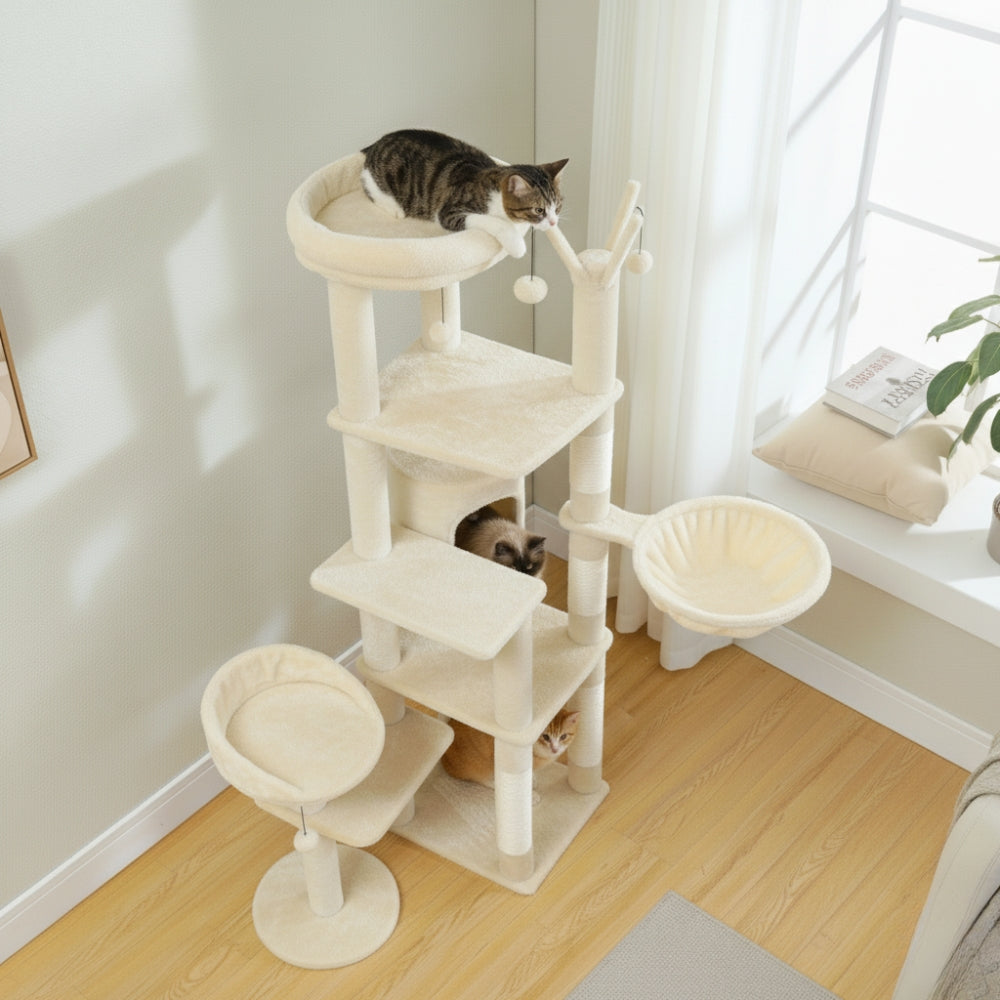 Arbre À Chat - Ariel