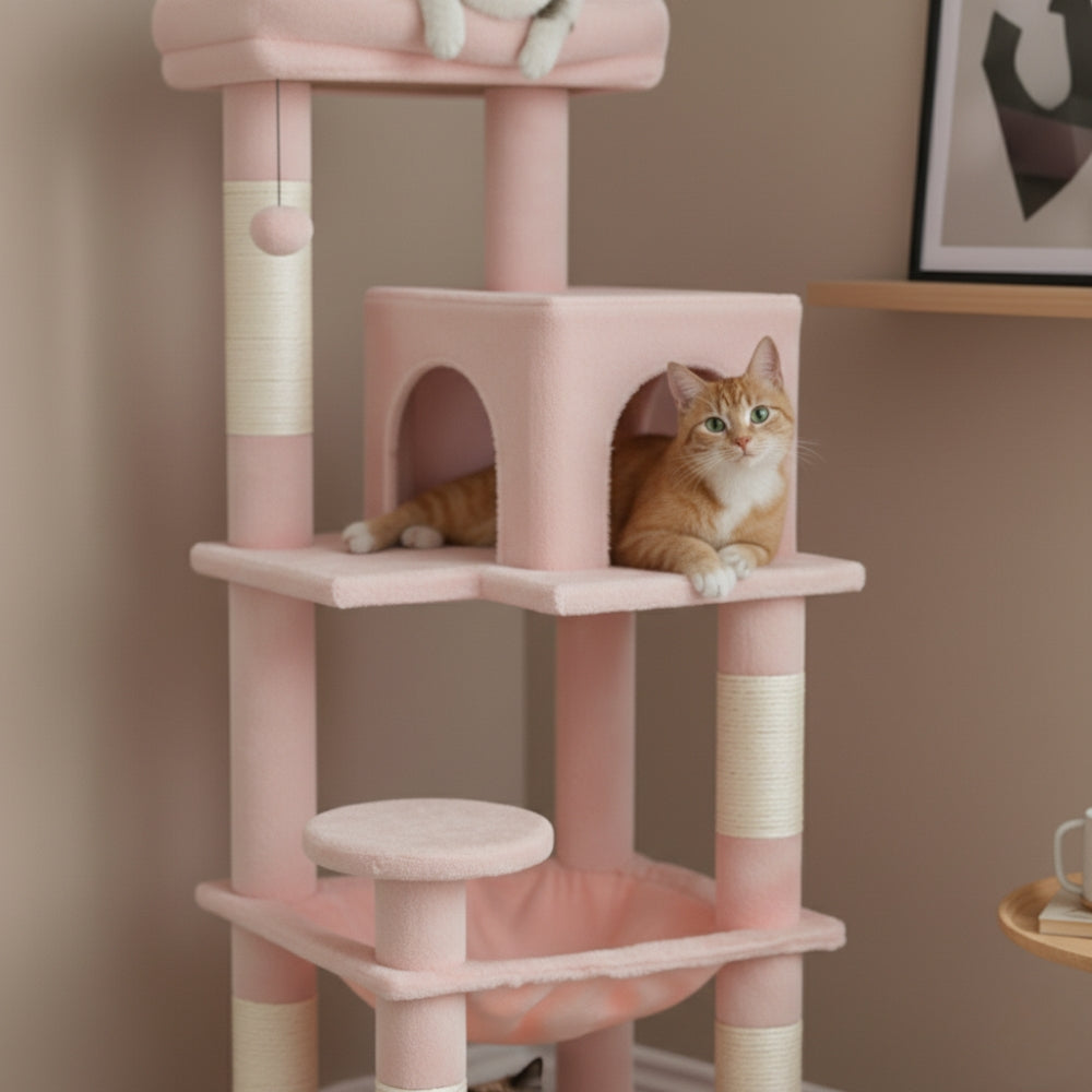 Arbre À Chat - Yumi